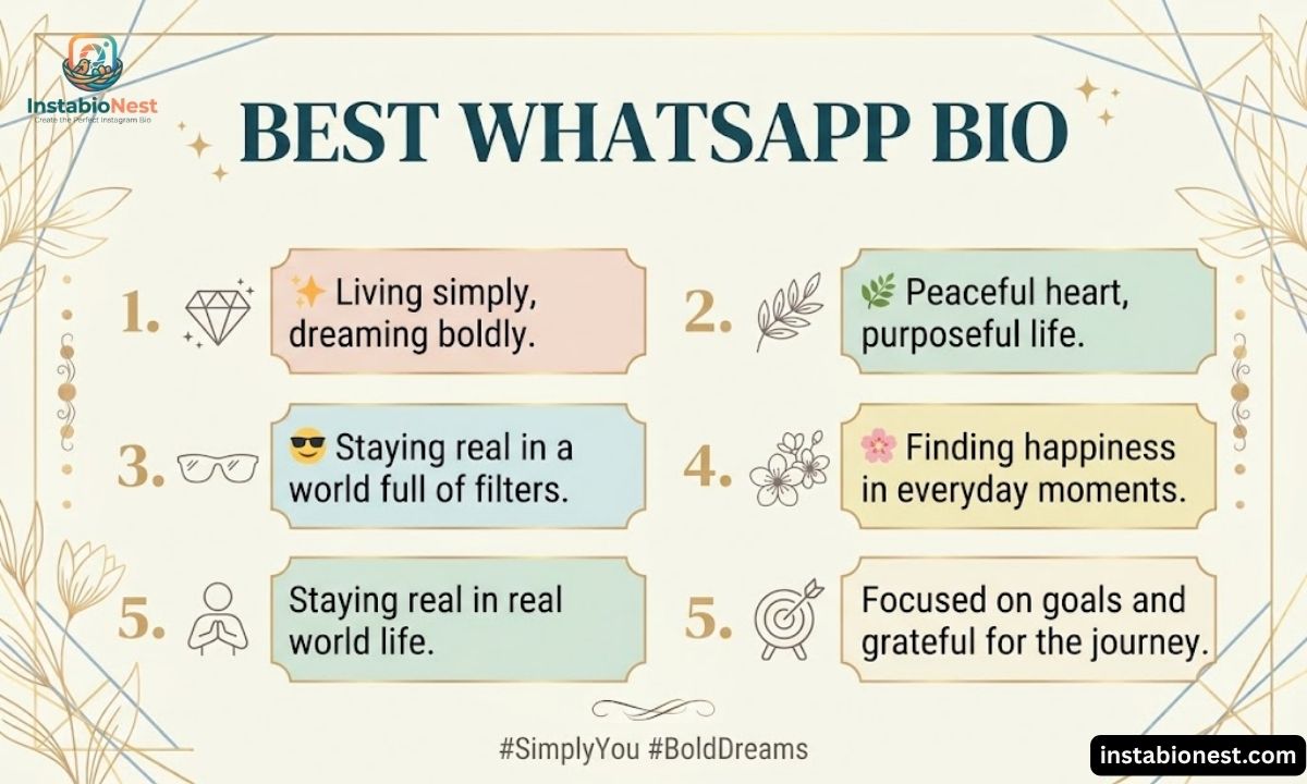 WhatsApp Bio