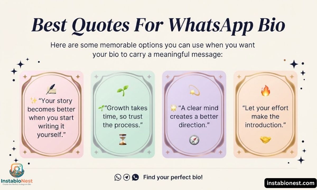 WhatsApp Bio
