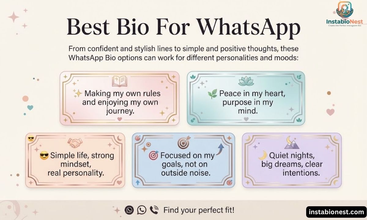 WhatsApp Bio
