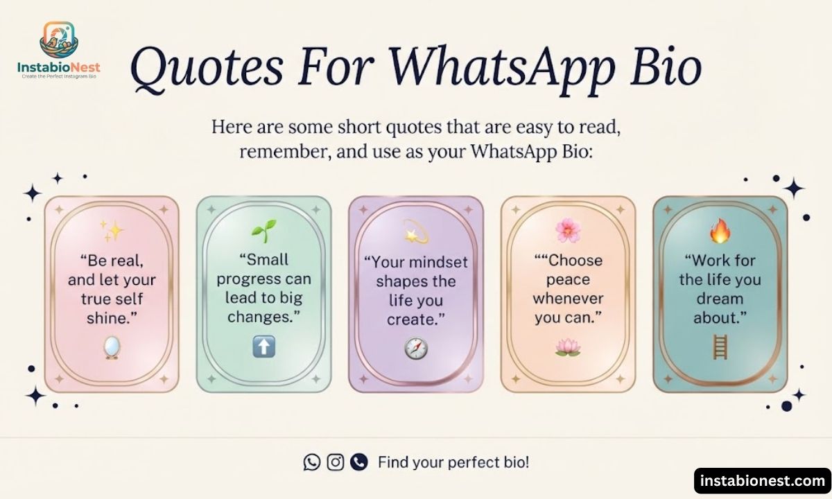 WhatsApp Bio