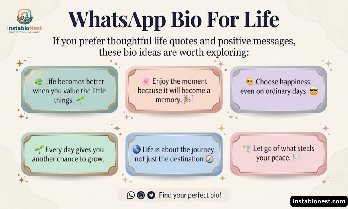 WhatsApp Bio