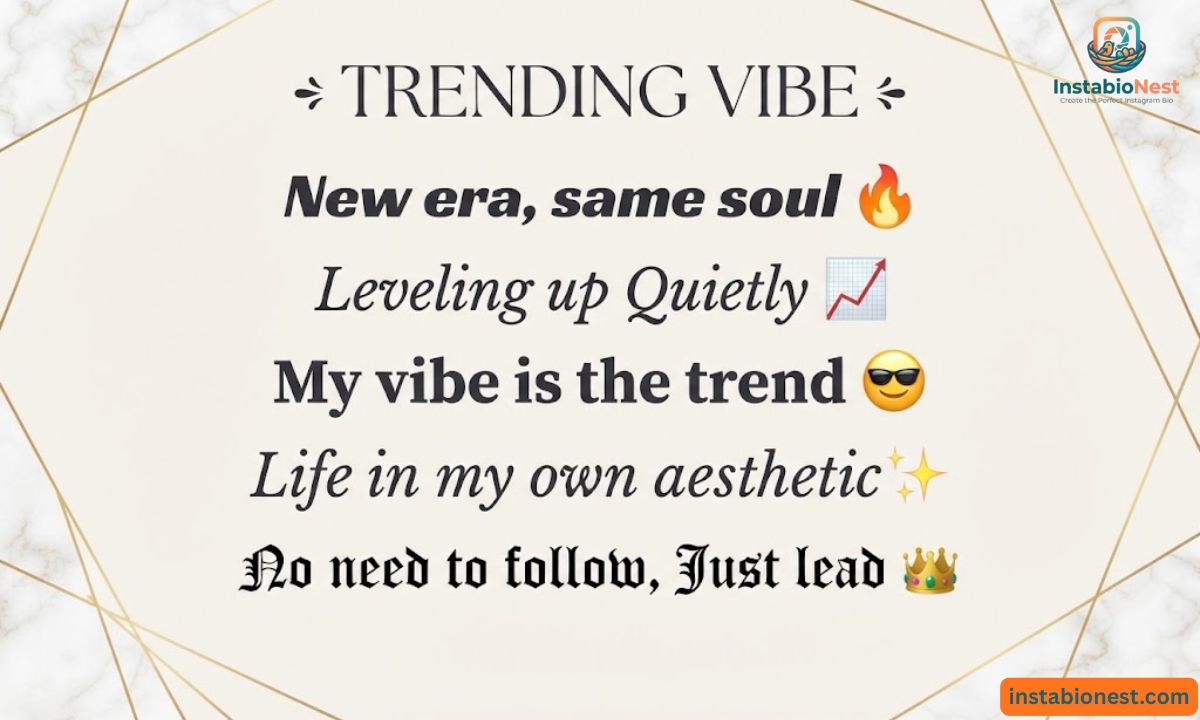 Instagram Bio For Boys Stylish Font