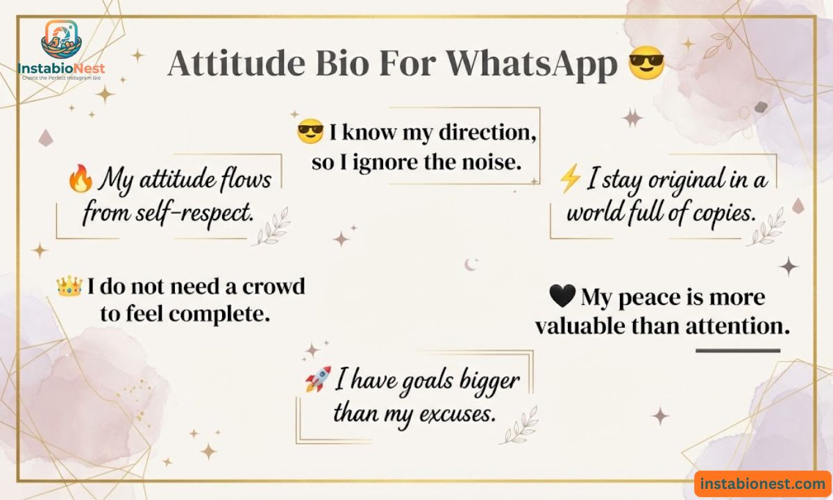 WhatsApp Bio