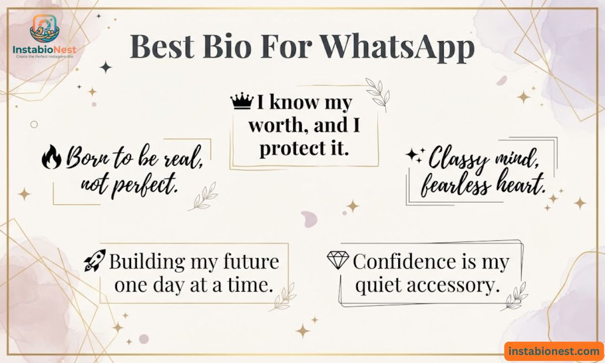 WhatsApp Bio