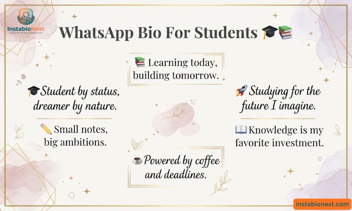 WhatsApp Bio