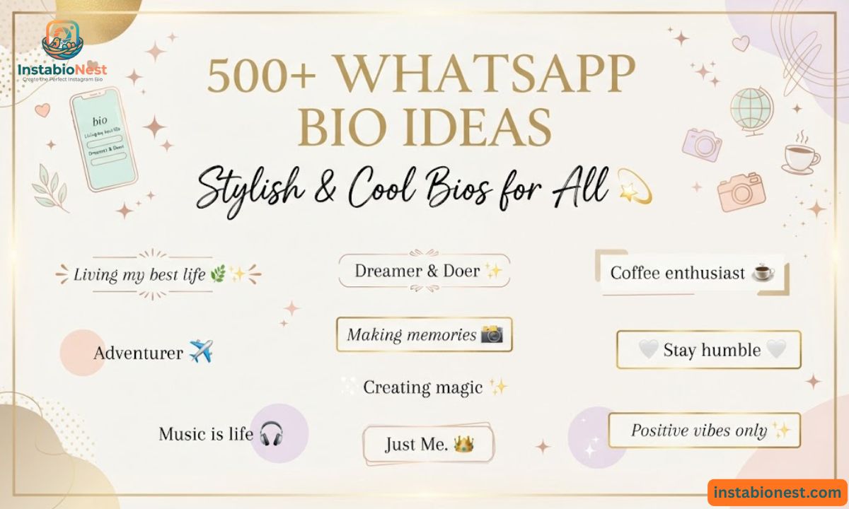 WhatsApp Bio